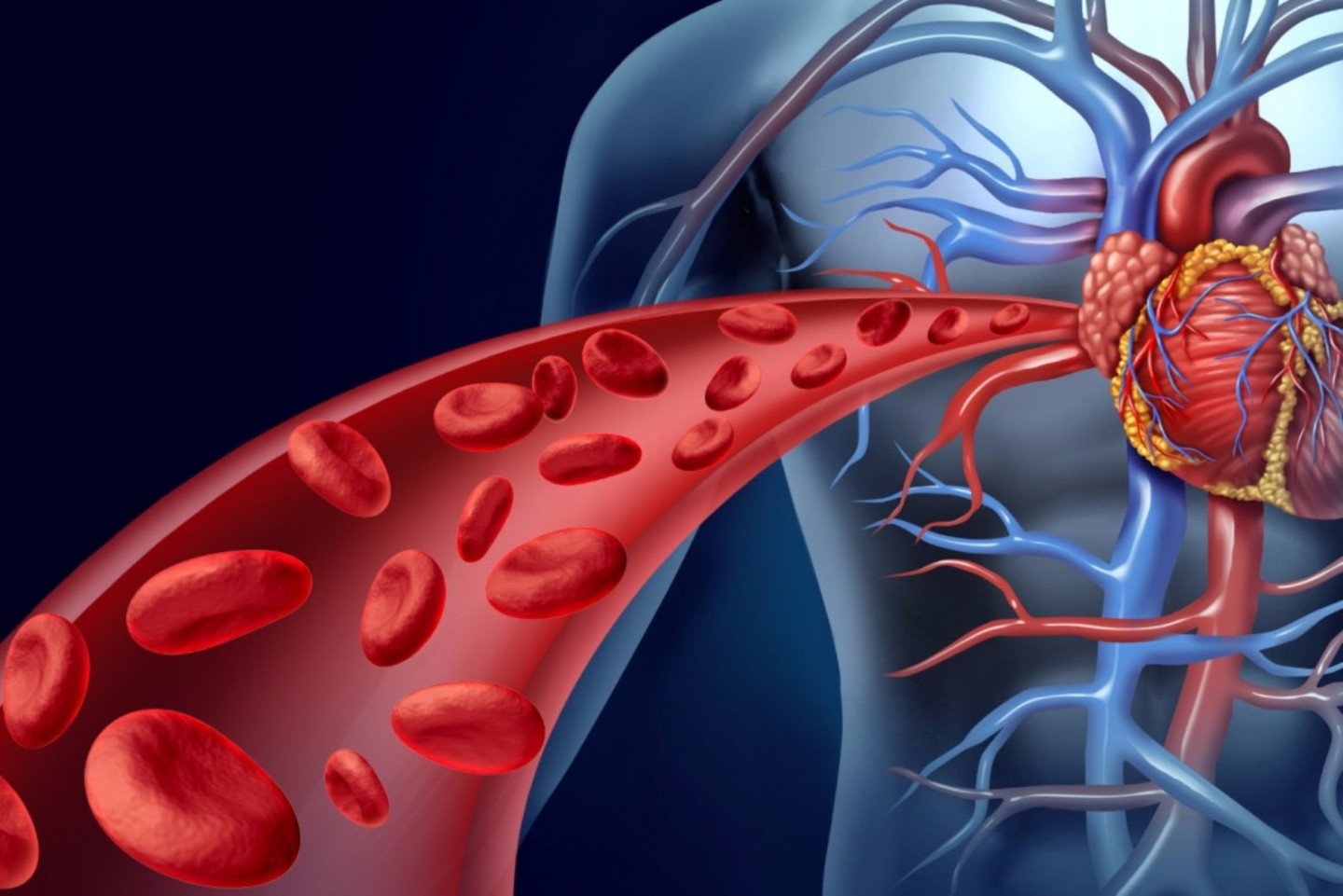 &Epsilon;&nu;&delta;&omicron;&alpha;&upsilon;&lambda;&iota;&kappa;ή &alpha;&theta;&eta;&rho;&epsilon;&kappa;&tau;&omicron;&mu;ή: Ό&tau;&alpha;&nu; &tau;&alpha; &mu;&pi;&alpha;&lambda;ό&nu;&iota;&alpha; &kappa;&alpha;&iota; &tau;&alpha; &sigma;&tau;&epsilon;&nu;&tau;&sigmaf; &delta;&epsilon;&nu; &mu;&pi;&omicron;&rho;&omicron;ύ&nu; &nu;&alpha; &delta;ώ&sigma;&omicron;&upsilon;&nu; &lambda;ύ&sigma;&eta; (onmed / 13-6-2016)